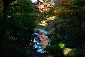 Bellevue Botanical Garden